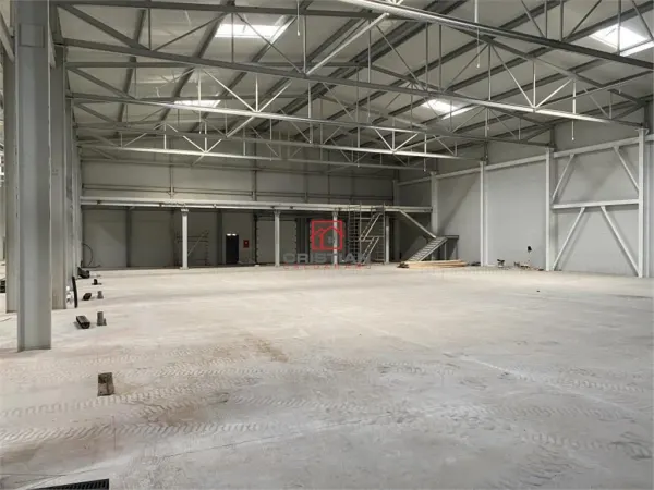 Spațiu industrial Otopeni - poza 6