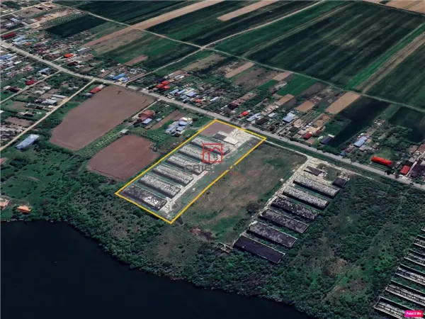 Spațiu industrial Buftea - poza 4