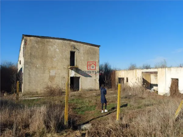 Spațiu industrial Buftea - poza 5