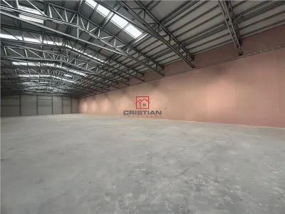 Inchiriere depozit/hala/spatiu industrial Buftea - Tamasi, Ilfov - foto 16