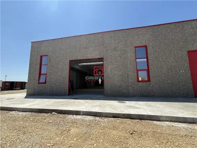 Vanzare depozit/spatiu industrial/hala Chitila - Rudeni, ILFOV - foto 6