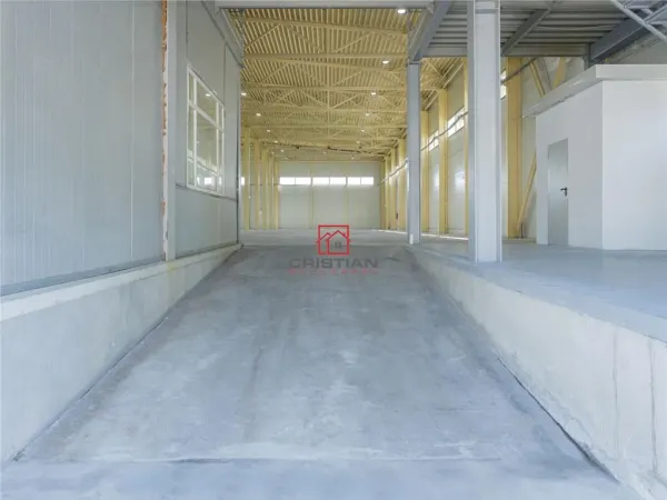 Spațiu industrial Otopeni - poza 25
