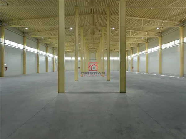 Spațiu industrial Otopeni - poza 28