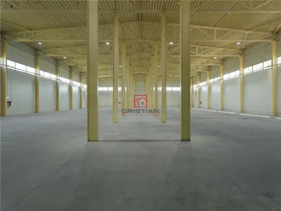 Spațiu industrial Otopeni - poza 28