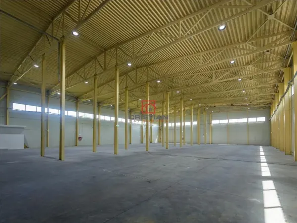Spațiu industrial Otopeni - poza 4