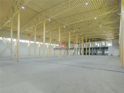 Inchiriere depozit/hala/spatiu industrial Otopeni - Centura - foto 5