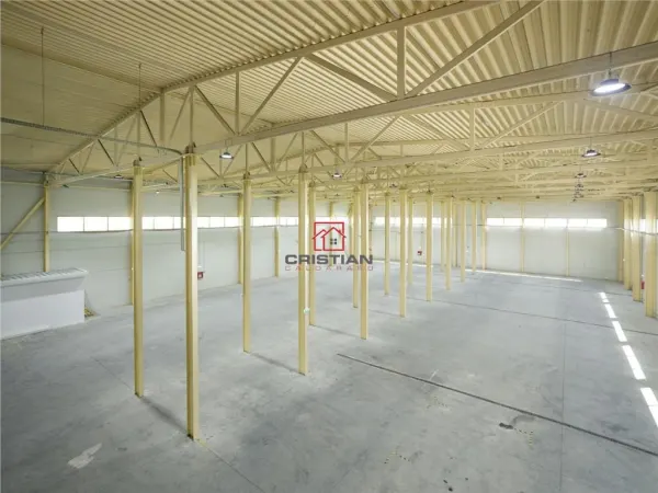 Spațiu industrial Otopeni - poza 7