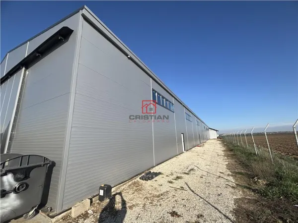 Spațiu industrial Bolintin-Deal - poza 2