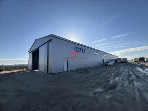 Spațiu industrial Bolintin-Deal - poza 3