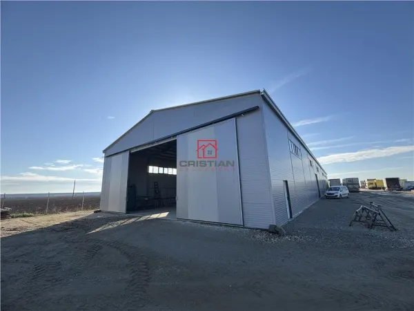 Spațiu industrial Bolintin-Deal - poza 4