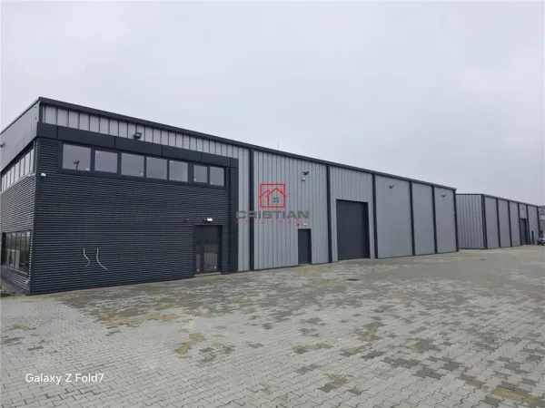 Spațiu industrial Mogoșoaia - poza 3