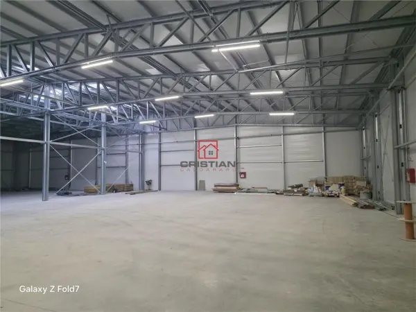 Spațiu industrial Mogoșoaia - poza 6