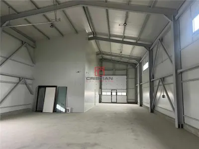 Inchiriere depozit/hala/spatiu industrial Domnesti - Centura - foto 1