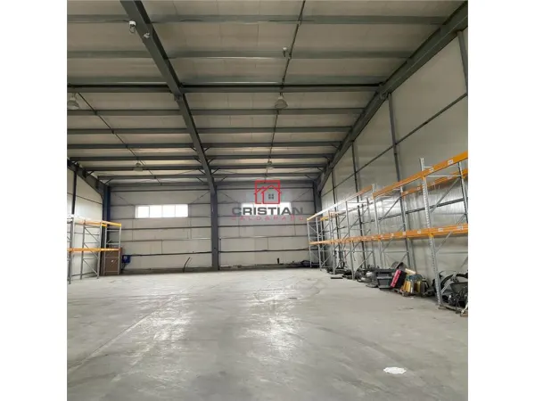 Spațiu industrial Ștefăneștii de Jos - poza 14