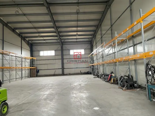 Spațiu industrial Ștefăneștii de Jos - poza 15
