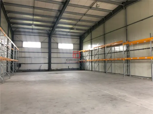 Spațiu industrial Ștefăneștii de Jos - poza 8