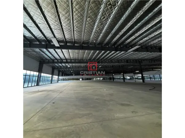 Spațiu industrial Afumați - poza 10