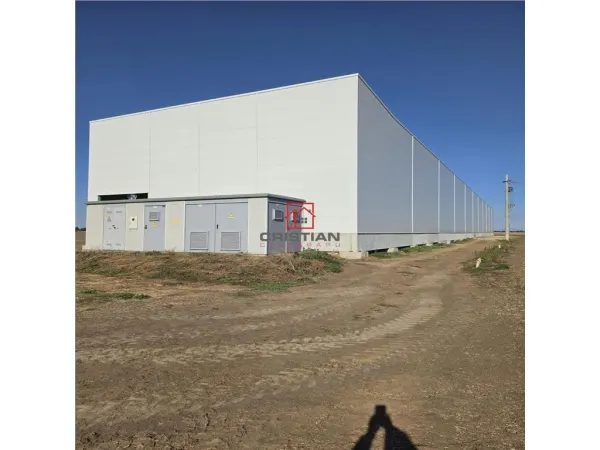 Spațiu industrial Mogoșoaia - poza 1