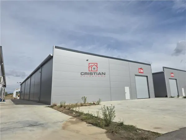 Spațiu industrial Chitila - poza 2
