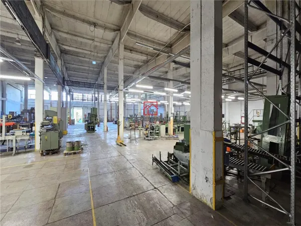 Spațiu industrial Buftea - poza 7