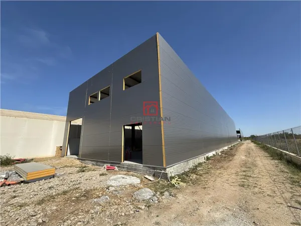 Spațiu industrial Chiajna - poza 1