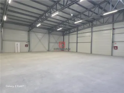 Inchiriere depozit/hala/spatiu industrial Mogosoaia - Buftea - foto 16