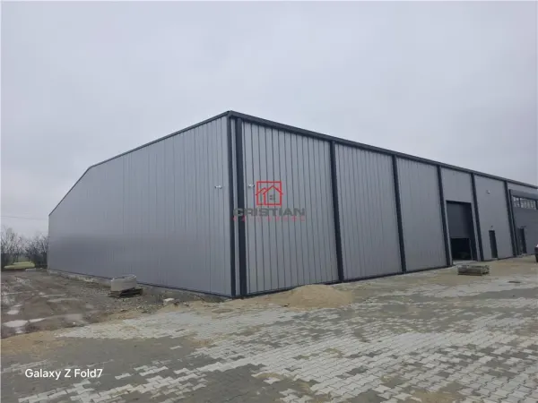 Spațiu industrial Mogoșoaia - poza 3