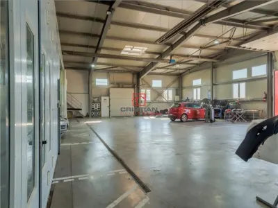 Vanzare depozit/hala/spatiu industrial - SERVICE AUTO Domnesti - Centura, ILFOV - Domnesti