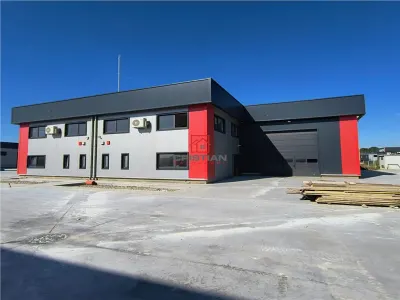 Inchiriere depozit/hala/spatiu industrial Domnesti - Centura - foto 1