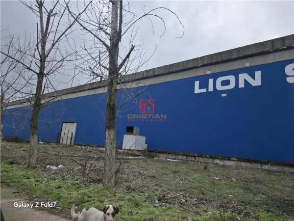 Spațiu industrial Giurgiu - poza 7