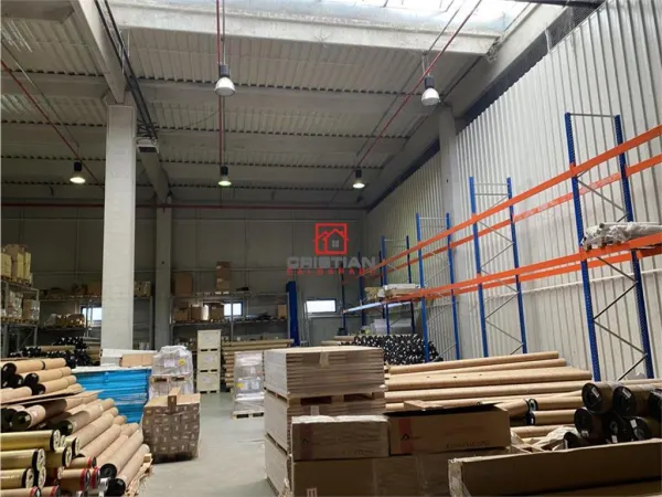 Spațiu industrial Mogoșoaia - poza 2