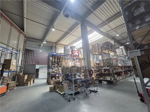 Spațiu industrial Mogoșoaia - poza 7
