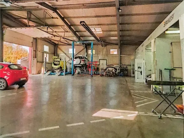 Spațiu industrial Domnești - poza 8