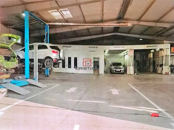 Spațiu industrial Domnești - poza 7