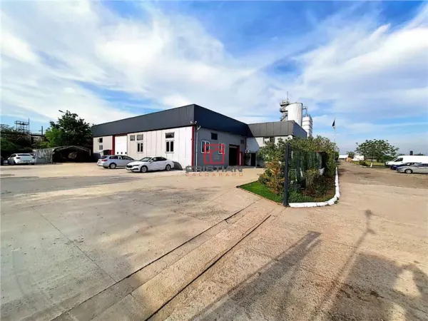 Spațiu industrial Domnești - poza 8