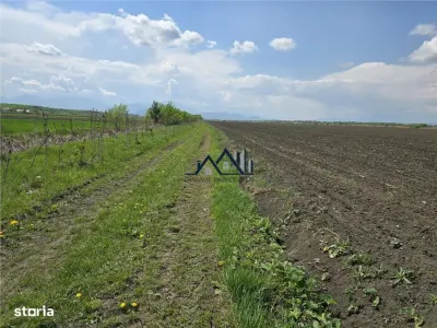 Oportunitate de investiție cu Exclusivitate! BOD, teren agricol! - foto 2