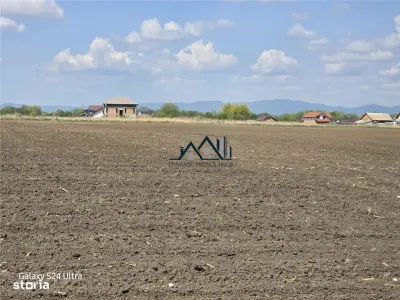 Oportunitate de investiție cu Exclusivitate! BOD, teren agricol! - foto 8
