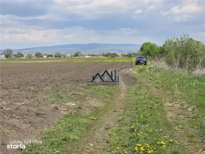 Oportunitate de investiție cu Exclusivitate! BOD, teren agricol! - foto 9