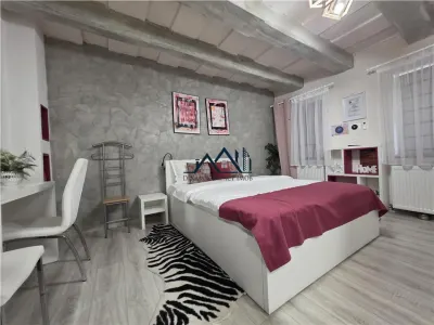 Garsoniera Centru Istoric 5 Minute Piata Sfatului - foto 12