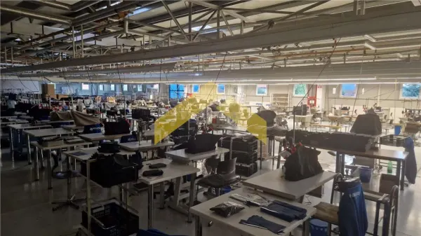 Spațiu industrial Sfântu Gheorghe - poza 6