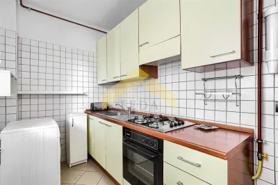 Apartament cu 3 camere de inchiriat, Comuna Galsa Arad - foto 11