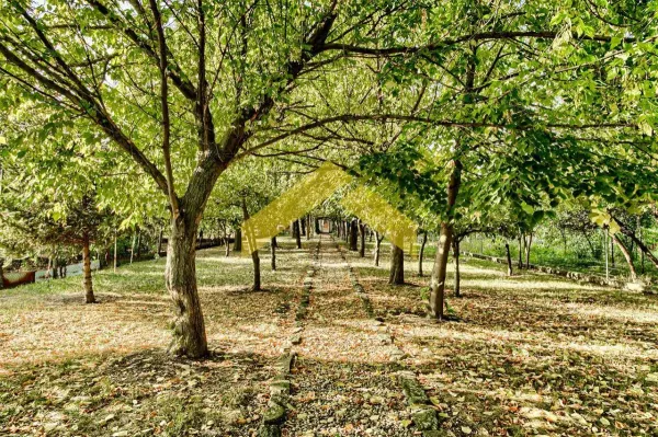 Casă 5 camere Arad - poza 8
