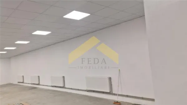 Spațiu comercial Ineu - poza 3