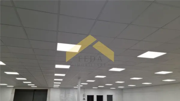 Spațiu comercial Ineu - poza 9