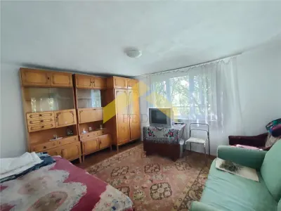 Casa de vanzare in Bodrogu Vechi - foto 6