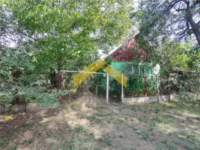 Casa de vanzare in Bodrogu Vechi - foto 8