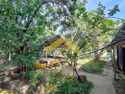Casa de vanzare in Bodrogu Vechi - foto 10