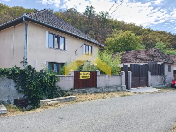 Casă 6 camere Cladova - poza 2