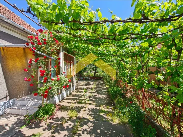 Casă 4 camere Vladimirescu - poza 2