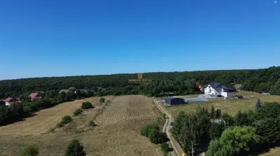 TEREN INTRAVILAN 6.200 MP | MITOCU DRAGOMIRNEI | 180,15 ML DESCHIDERE | 12 KM DE SUCEAVA | Comision 0 - Mitocu Dragomirnei